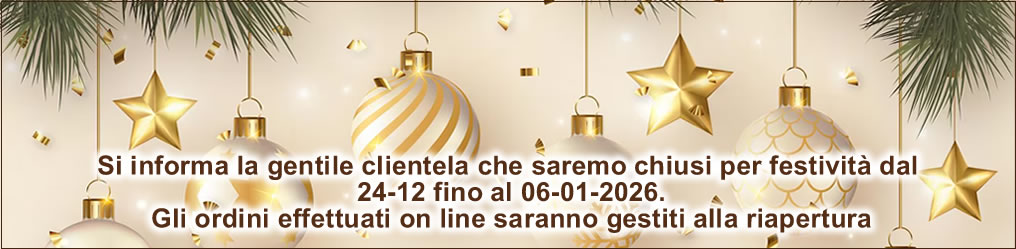 Chiusura Feste Natalizie